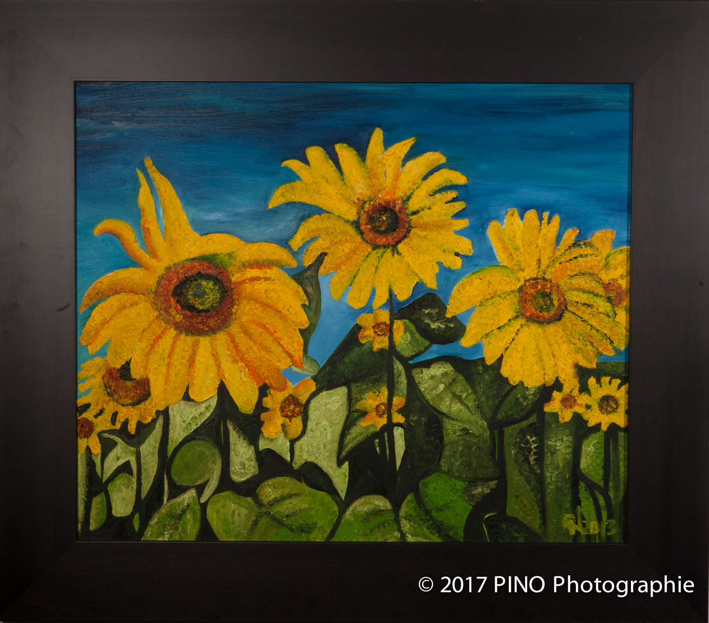 Sunflower Field